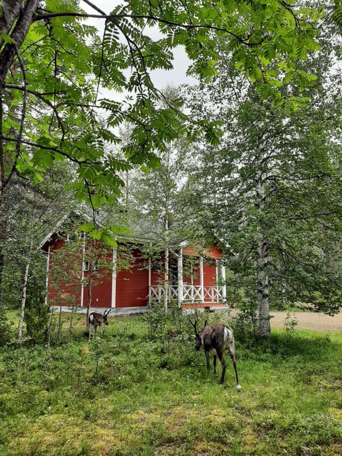 Villa Kuosto Ja Luppo Äkäslompolo Exterior foto
