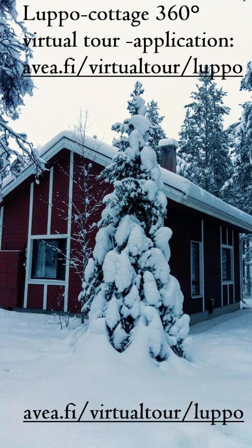 Villa Kuosto Ja Luppo Äkäslompolo Exterior foto
